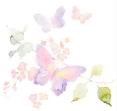 bgbutterflies2[1].jpg